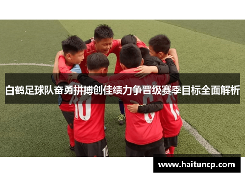 白鹤足球队奋勇拼搏创佳绩力争晋级赛季目标全面解析